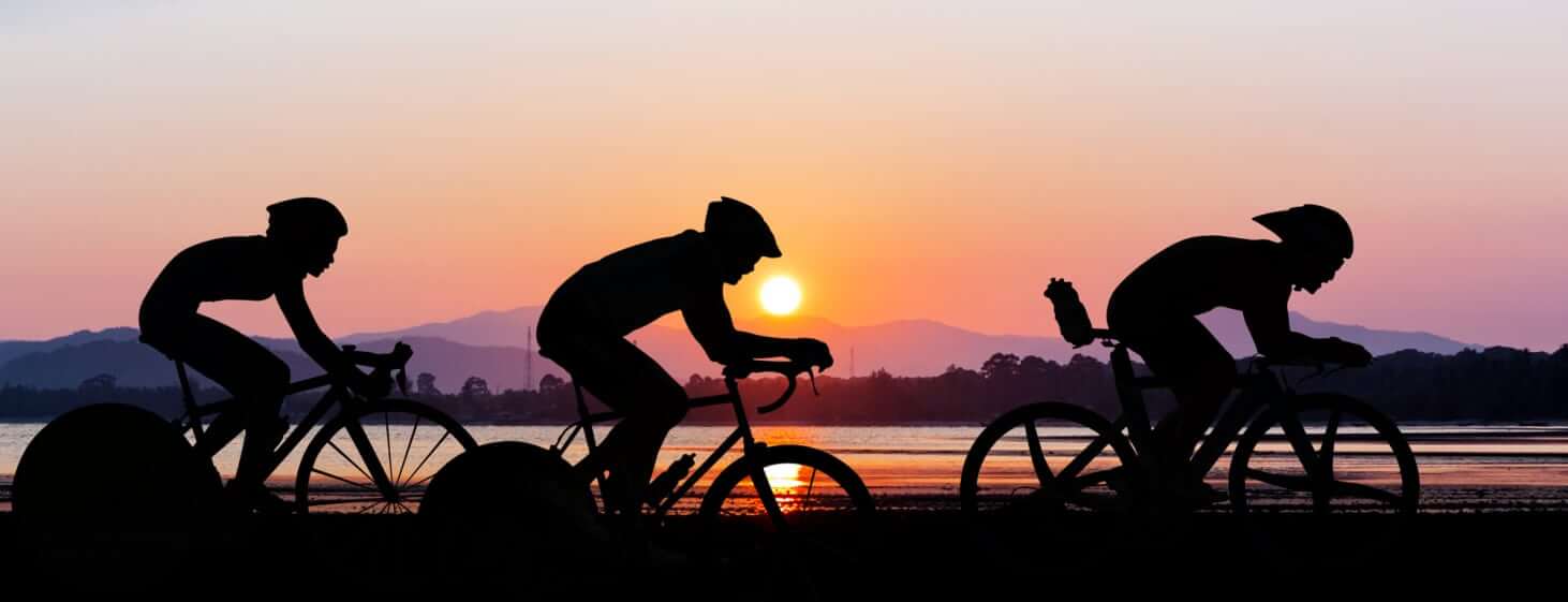 Perfil do turista desportivo que visita o Porto e Norte