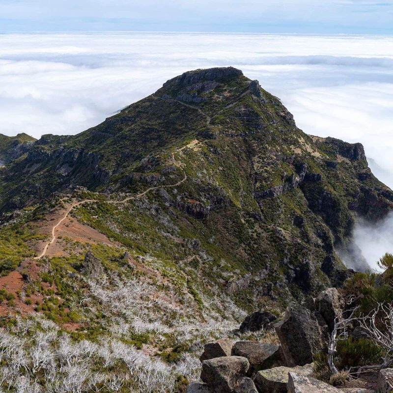Blog - Madeira Certificação Sustentabilidade