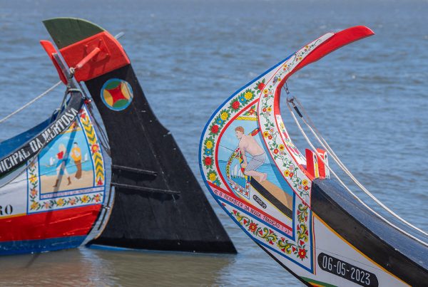 Blog - Moliceiro: Patrimonio Humanidade UNESCO