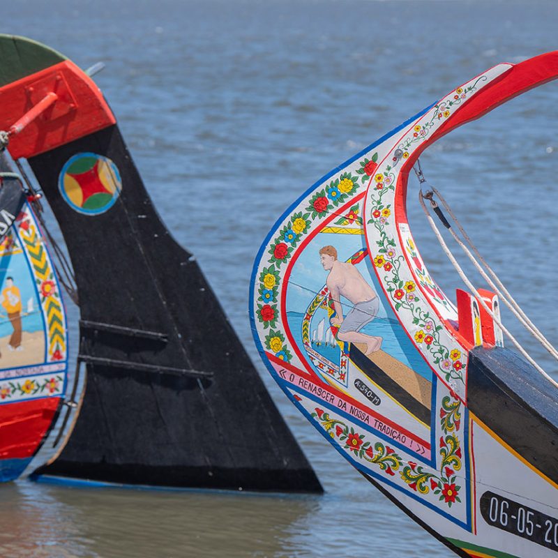 Blog - Moliceiro: Patrimonio Humanidade UNESCO