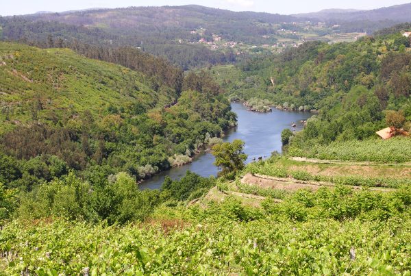 Para que servem as certificações de sustentabilidade nos destinos turísticos? Os casos de Melgaço e dos Açores
