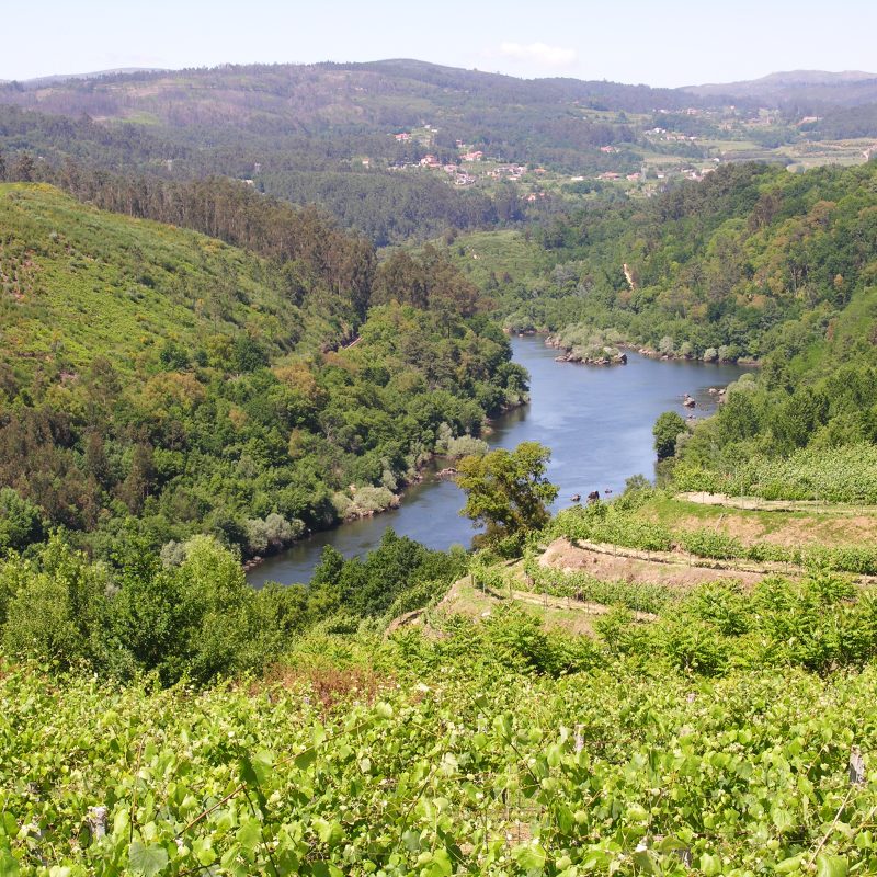 Para que servem as certificações de sustentabilidade nos destinos turísticos? Os casos de Melgaço e dos Açores