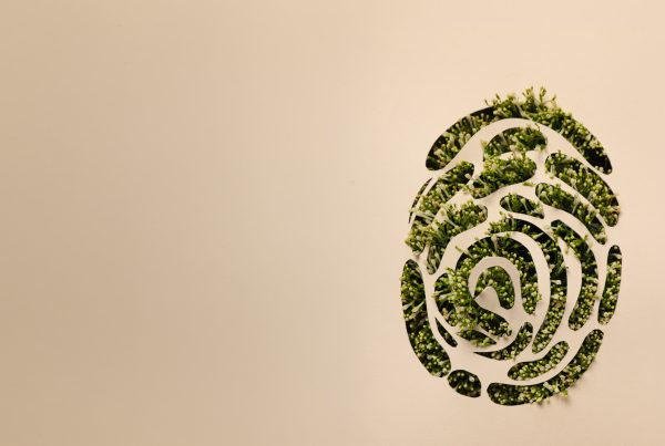 Blog Greenwashing Diretiva EmpCo