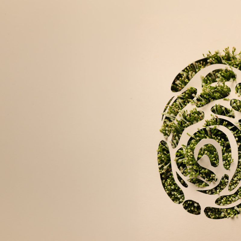 Blog Greenwashing Diretiva EmpCo
