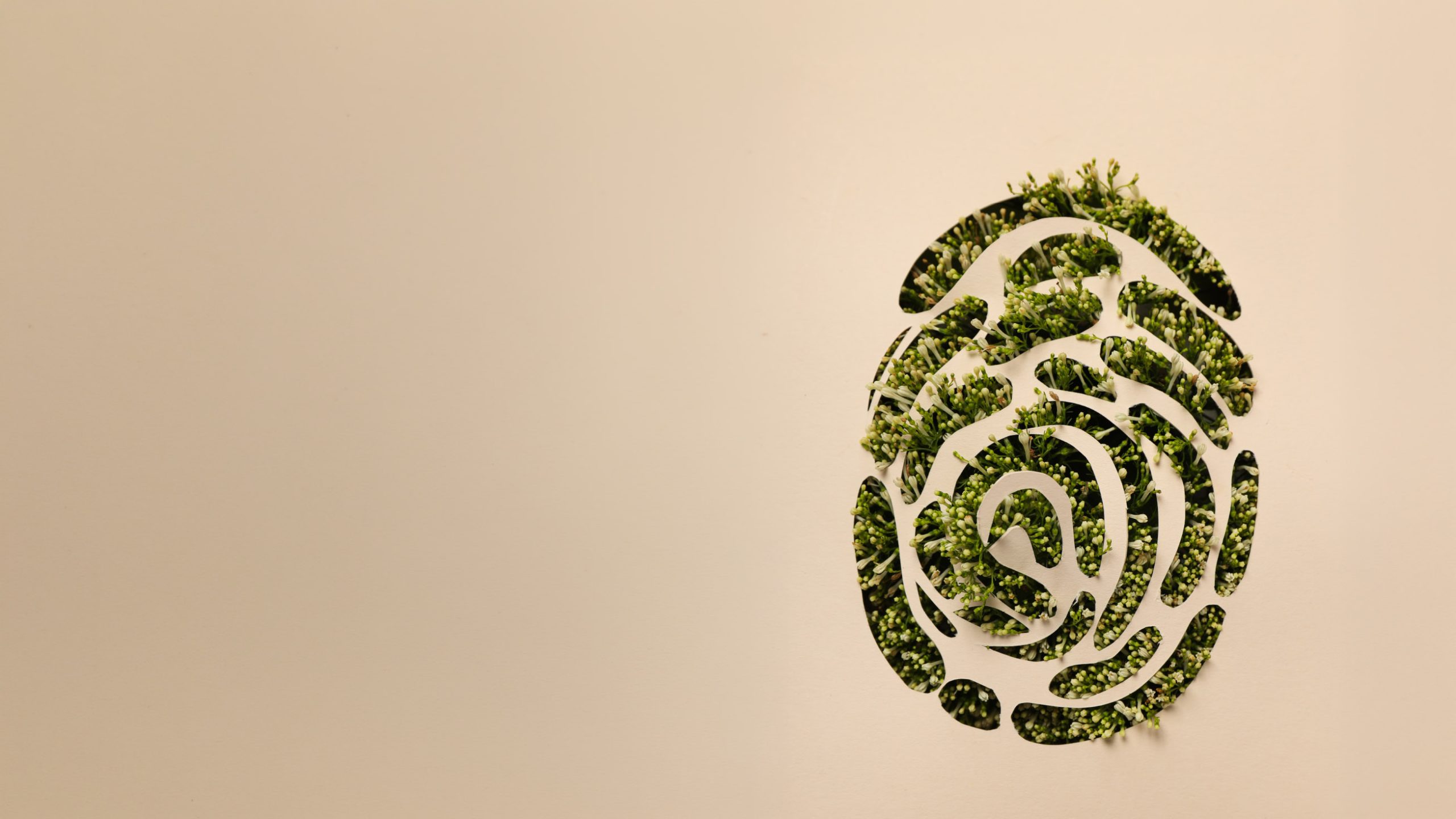 A Diretiva EmpCo e o Turismo: o fim do greenwashing é agora